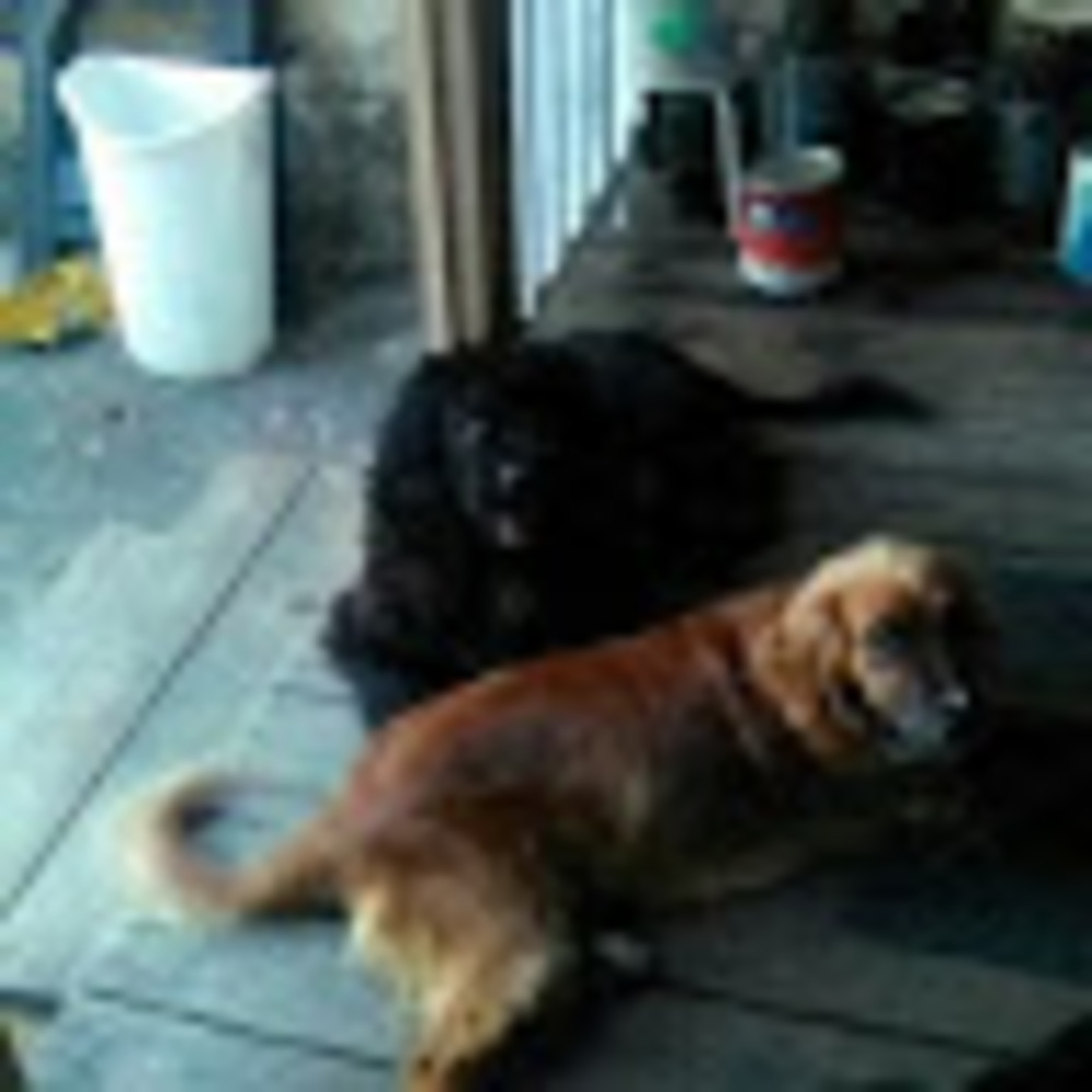 Meet your Posher, Tammy